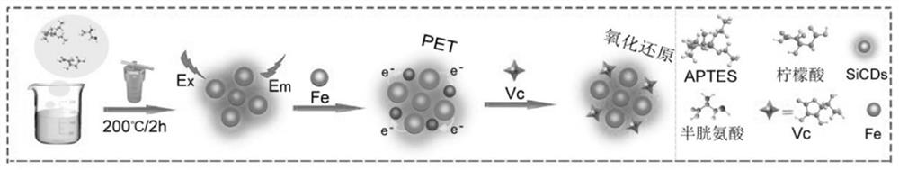 Preparation method and application of silicon-carbon quantum dots
