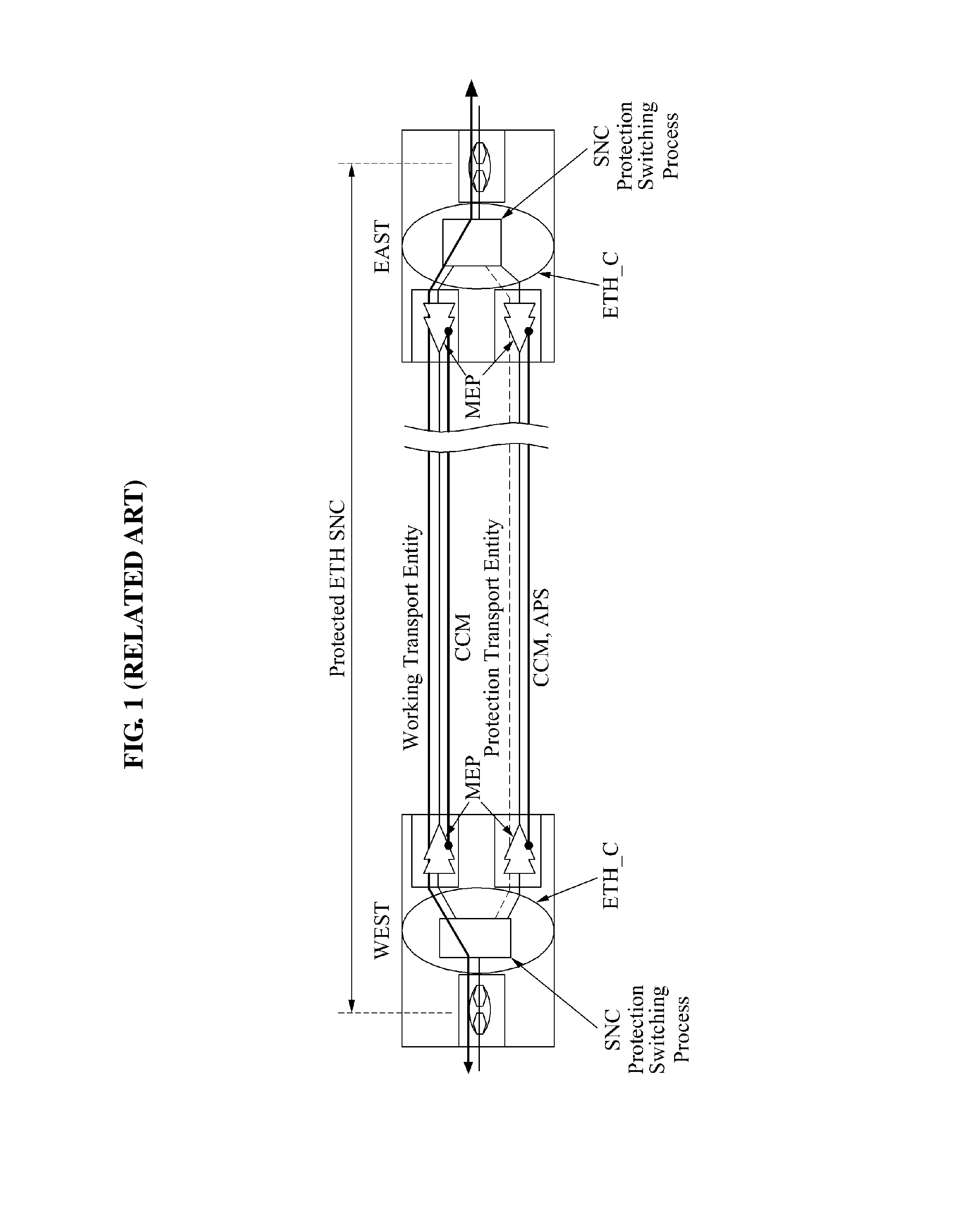 Method and apparatus for protection switching in rooted multipoint (RMP) connection networks