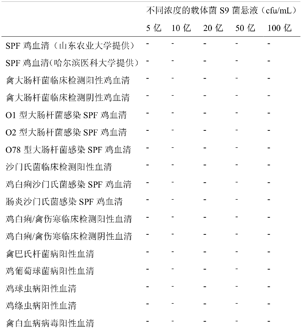 An inert carrier Salmonella and its potential application