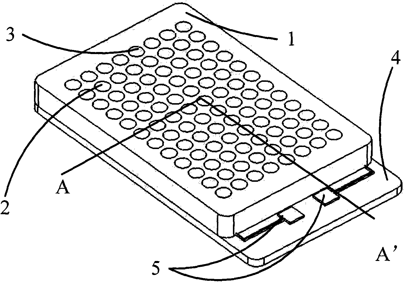 Electroporated chip and porous plate device base on electroporated chip