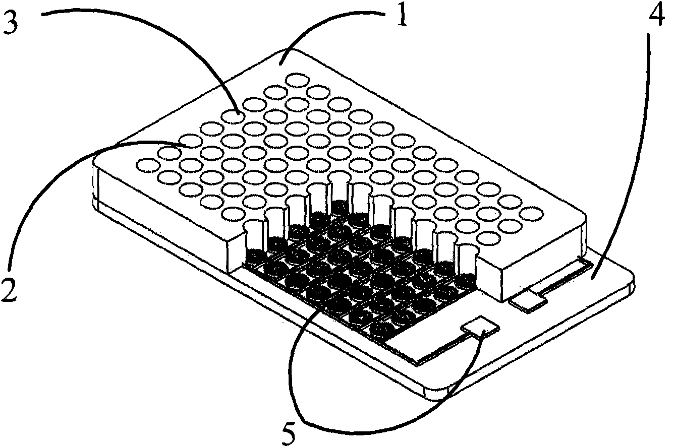 Electroporated chip and porous plate device base on electroporated chip