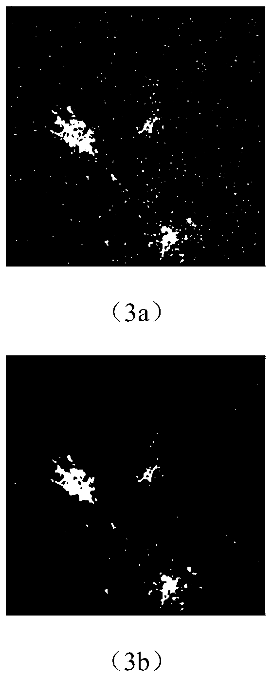 High-resolution noctilucent remote sensing image automatic change detection method based on feature fusion
