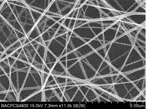 Preparation method of nano bamboo fiber composite material