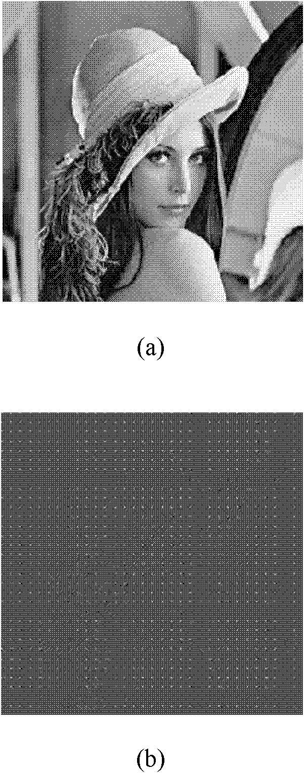 Coefficient-random-permutation-based compressive sensing method and system for image coding