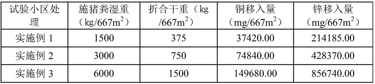 Method for purifying heavy metal elements namely copper and zinc in pig manure by utilizing forage cultivation