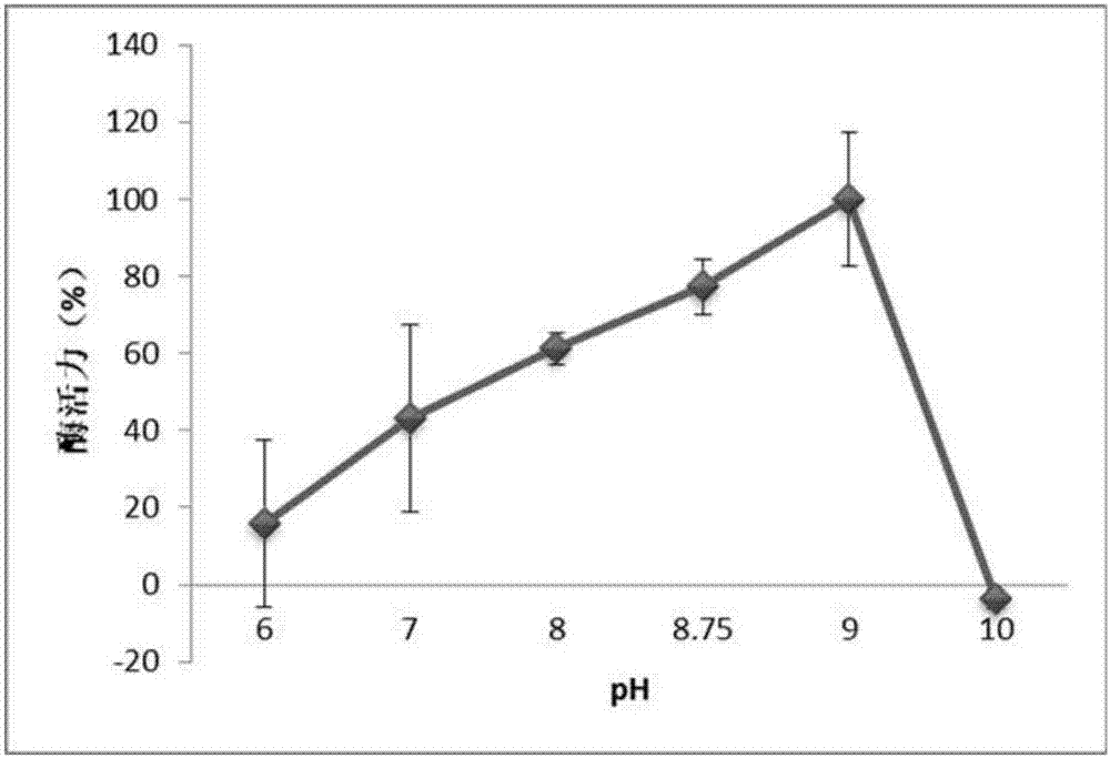 UGD gene in kelp, protein thereof and application