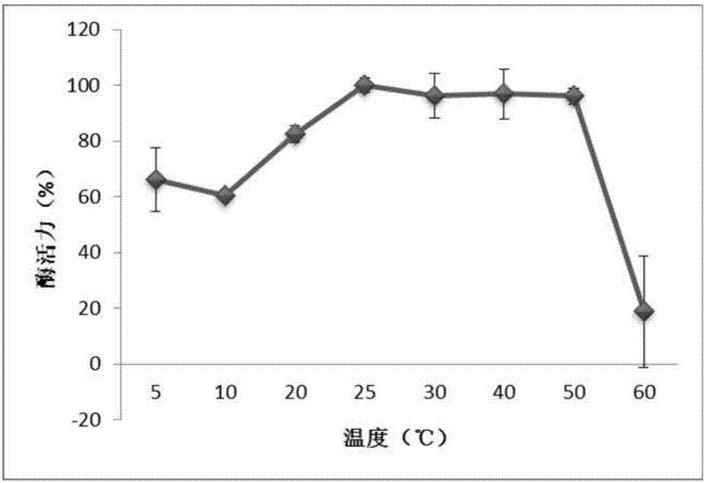 UGD gene in kelp, protein thereof and application