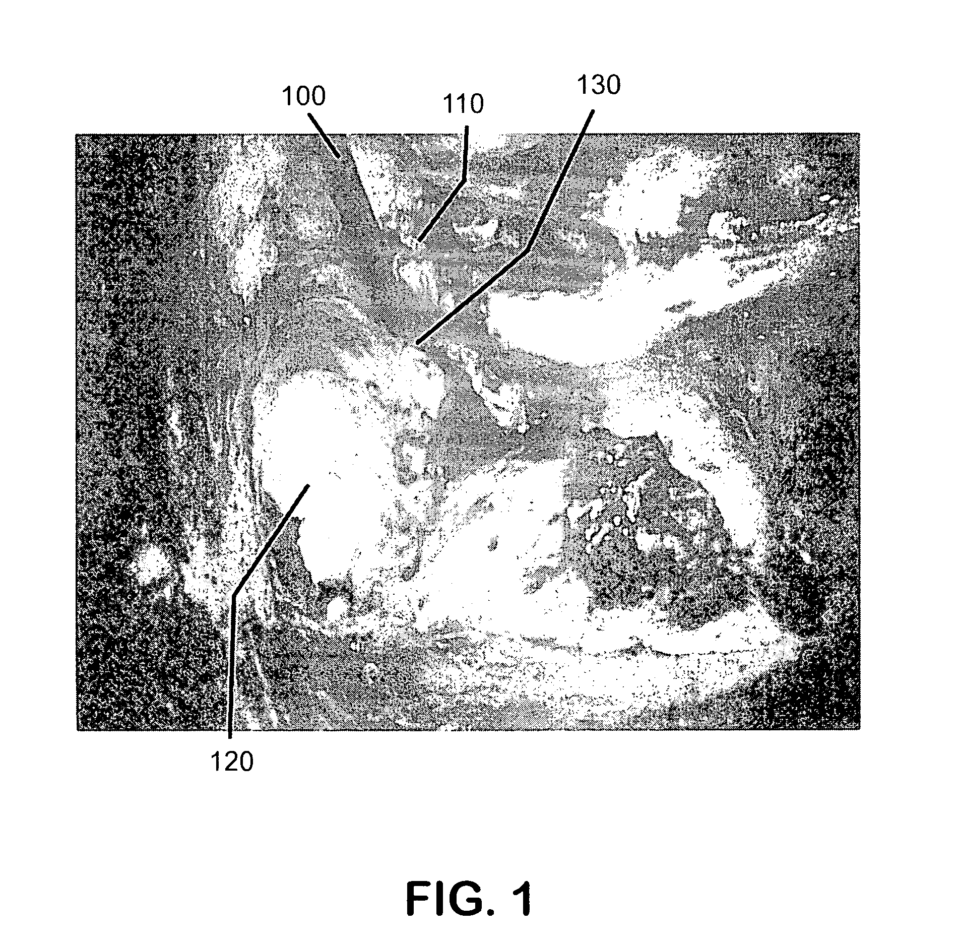 Fiberoptic laser Doppler probe