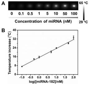 Photothermal sensor based on wettability paper chip and application of photothermal sensing method of photothermal sensor in biological detection