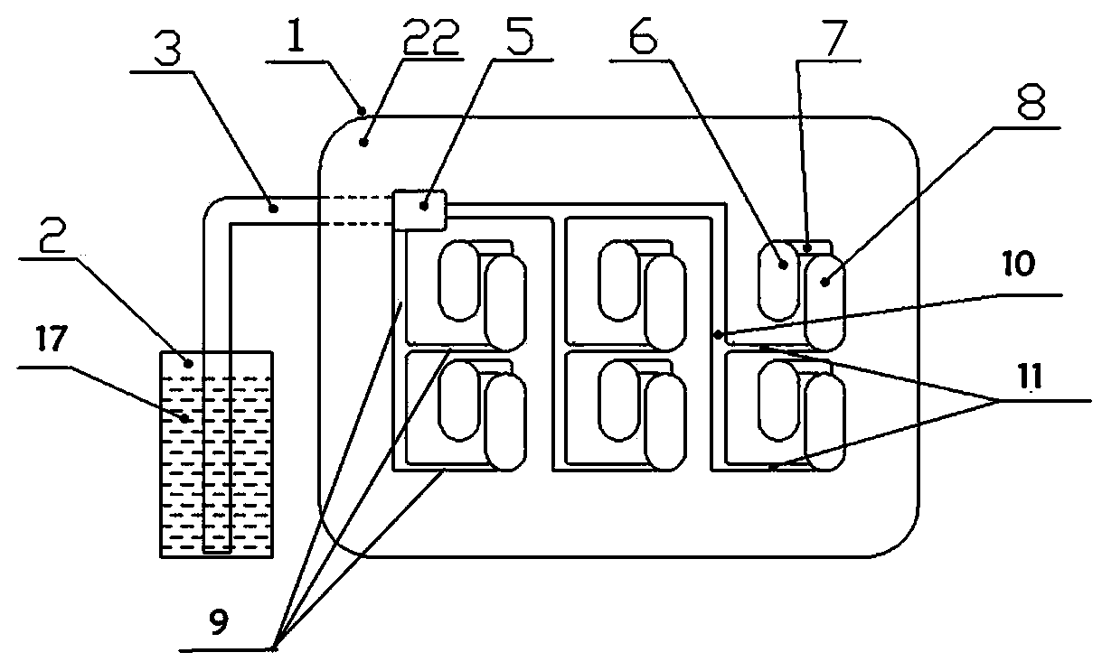 Rapid feeding apparatus and method for clinical specimen