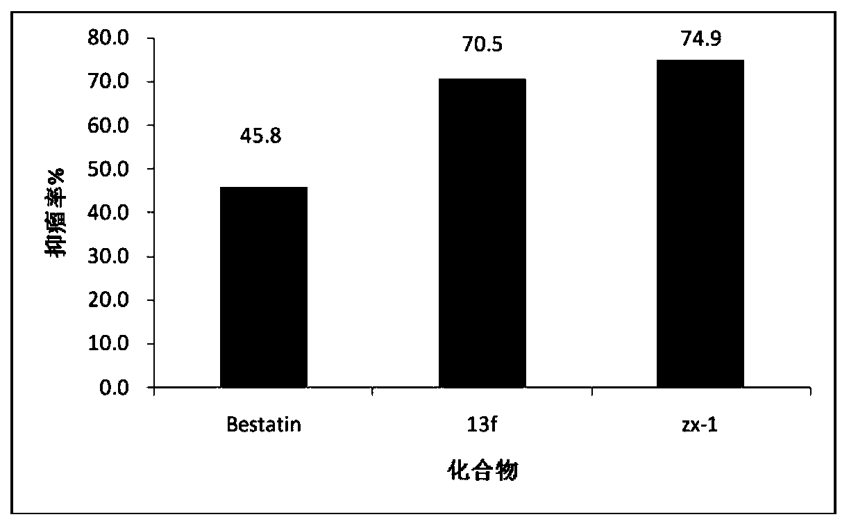 Aminopeptidase N inhibitor and preparation method and application thereof