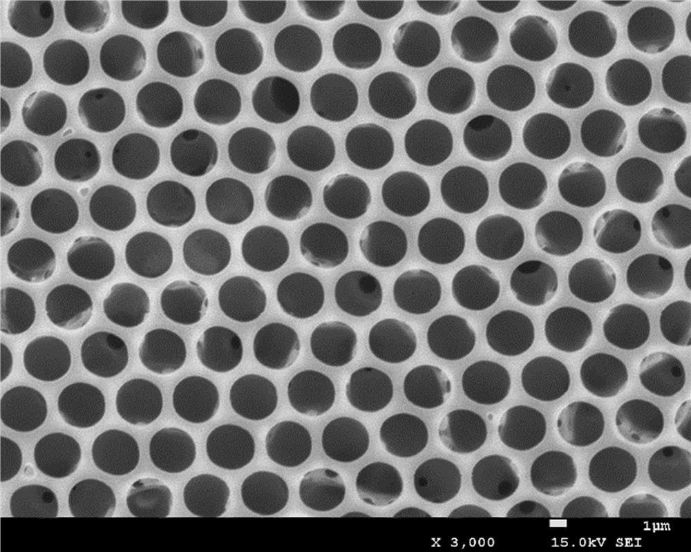 A kind of preparation method of hydrophilic ordered porous membrane material