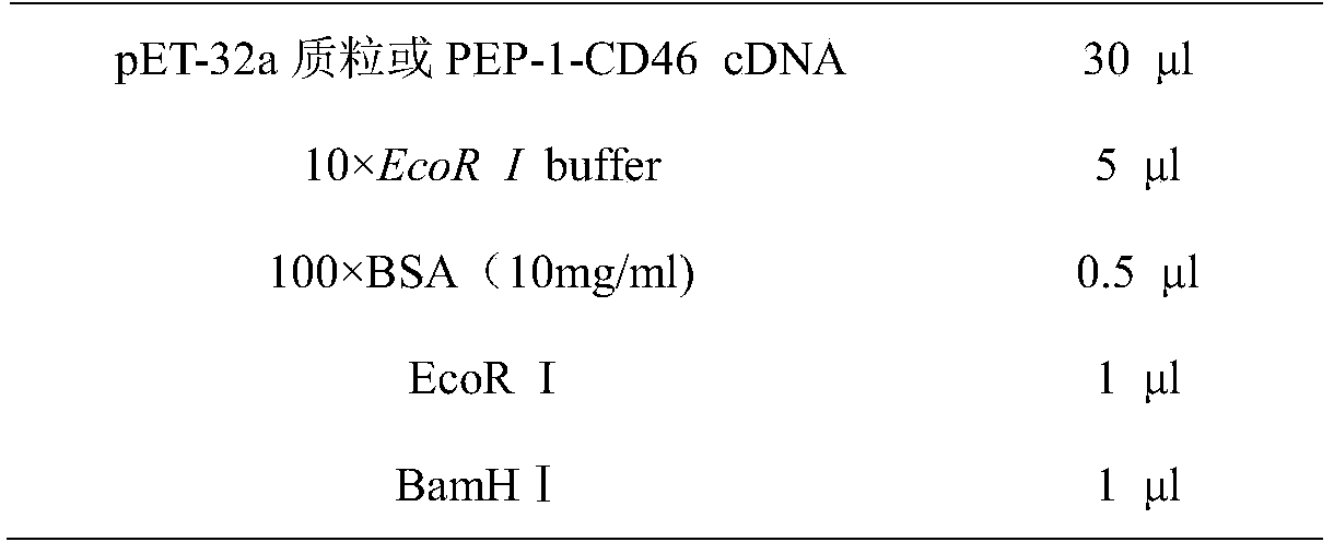 A kind of genetically engineered bacteria expressing membrane-penetrating peptide fusion protein and its application