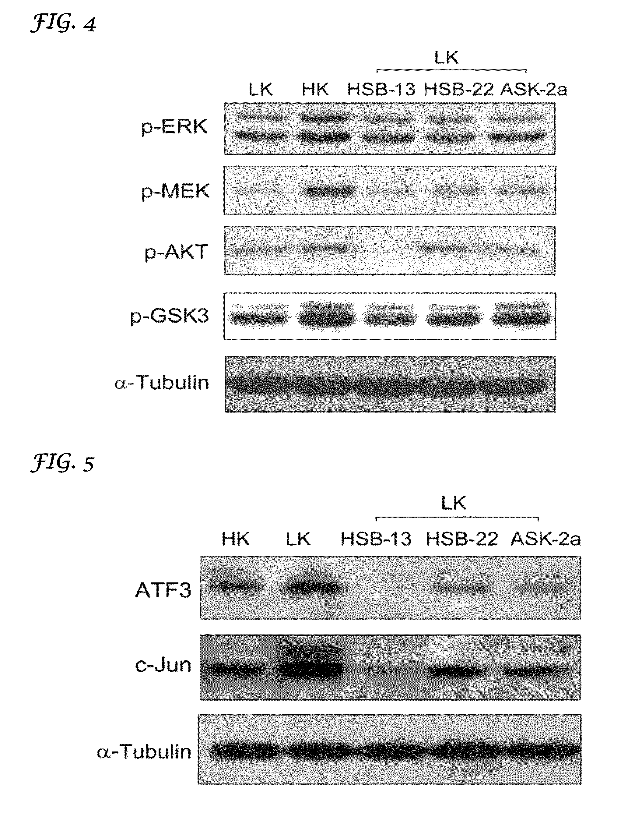 1, 4-benzoxazine compounds and derivatives thereof as therapeutic drugs for the treatment of neurodegenerative conditions