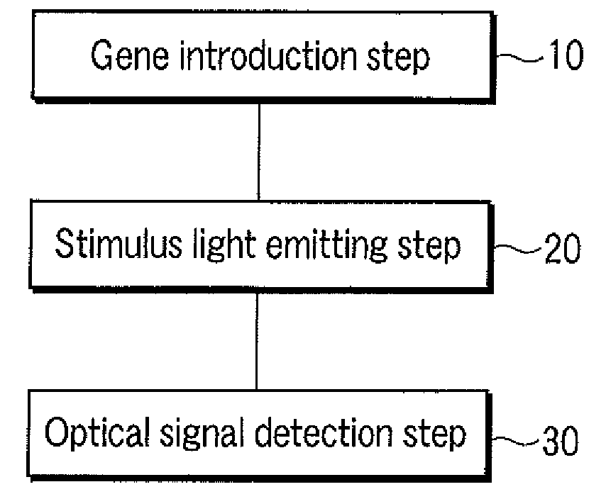 Method and system for analyzing optical signal