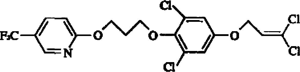 Synergistic insecticidal composition containing clothianidin and pyridalyl and applications thereof