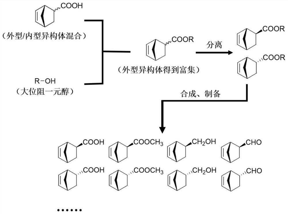 Method for preparing single-configuration C-2-position-monosubstituted norbornene derivative