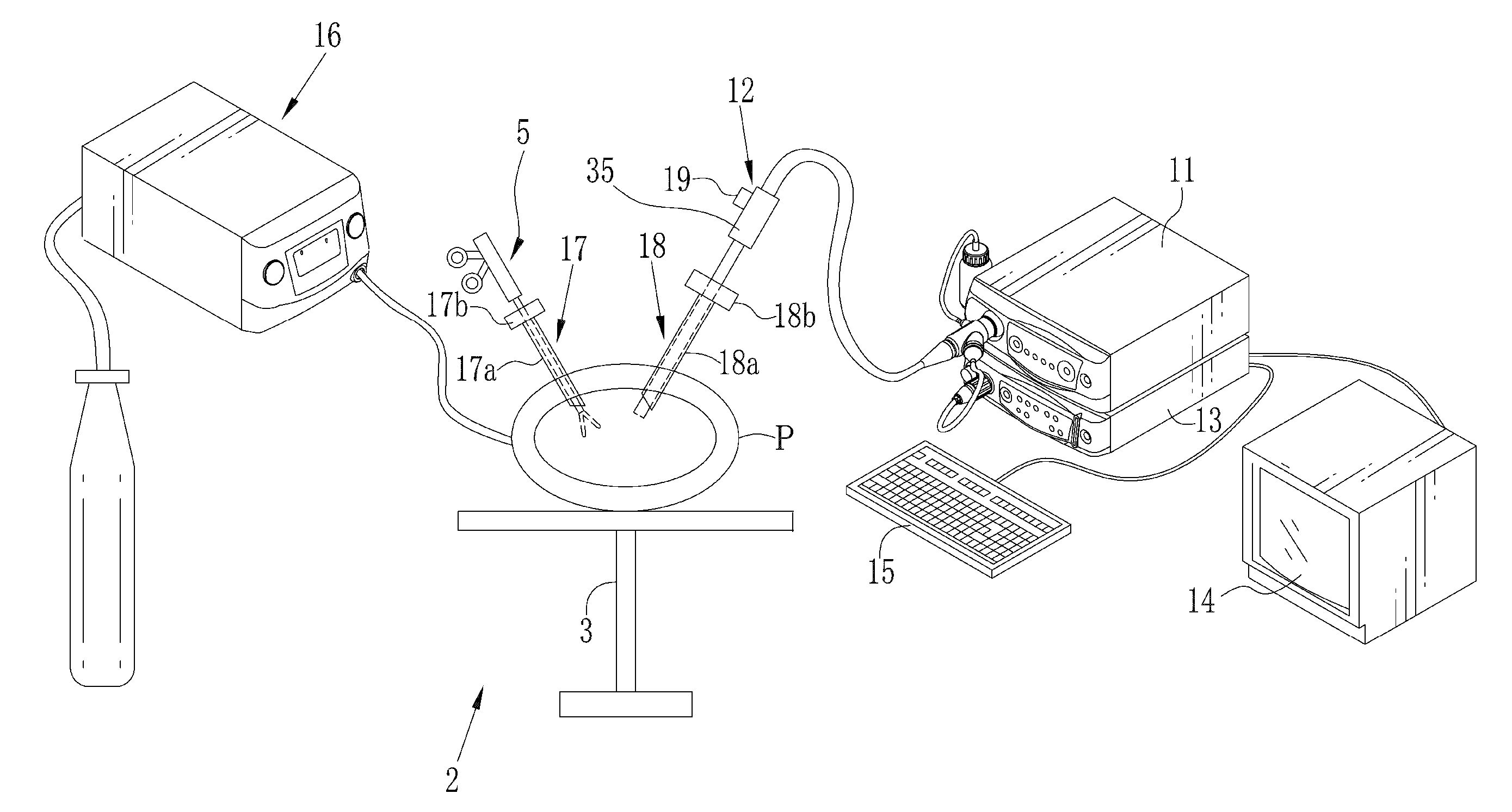 Tissue imaging system and in vivo monitoring method