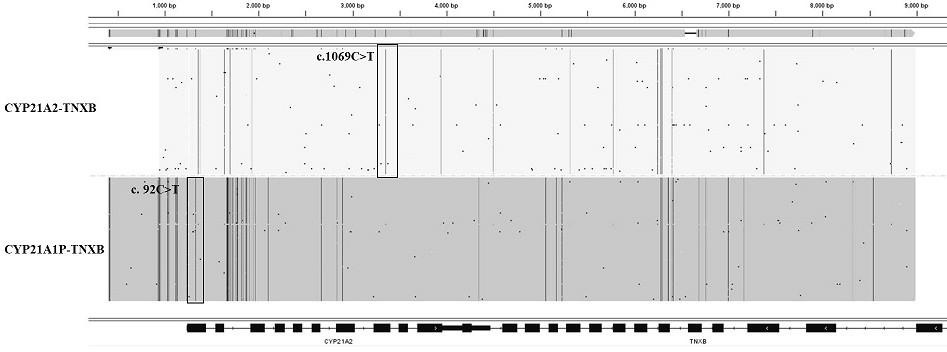 Primer group and kit for simultaneously detecting multiple mutations of nine genes related to congenital adrenal hyperplasia