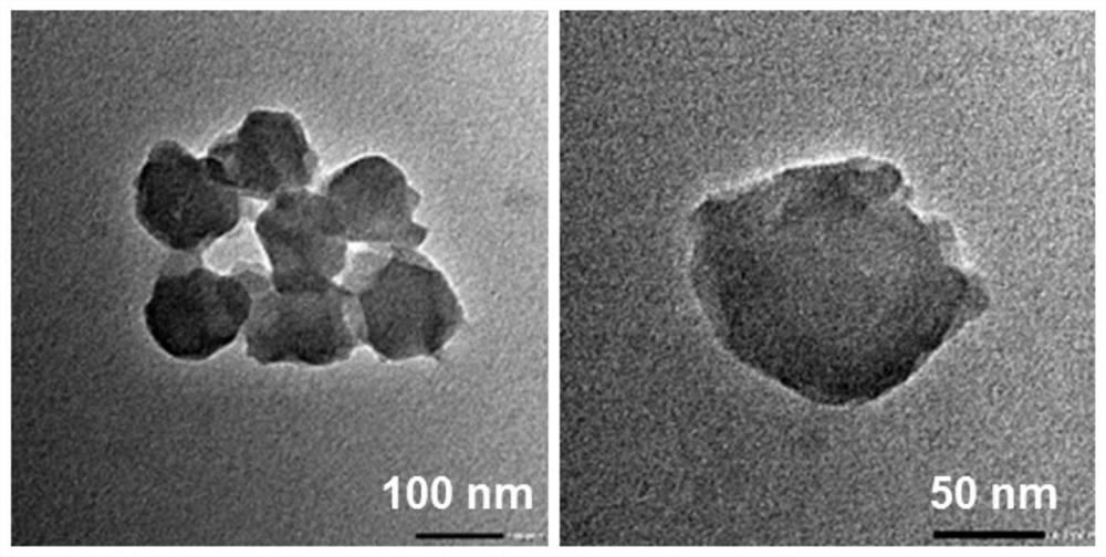 A kind of mofs nano drug carrier coated with red blood cell membrane and its preparation method and application