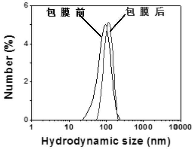 A kind of mofs nano drug carrier coated with red blood cell membrane and its preparation method and application