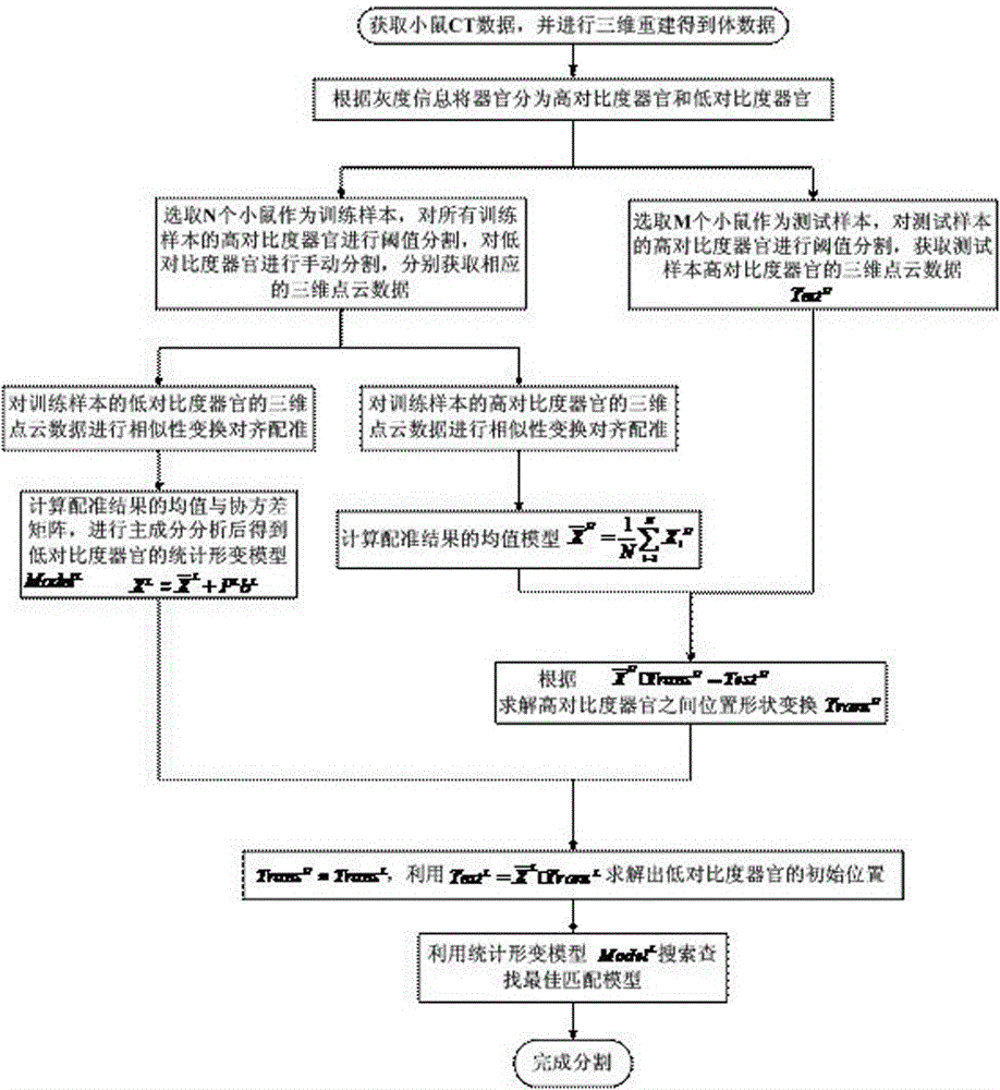 Organ auxiliary positioning segmentation method based on statistical deformation model