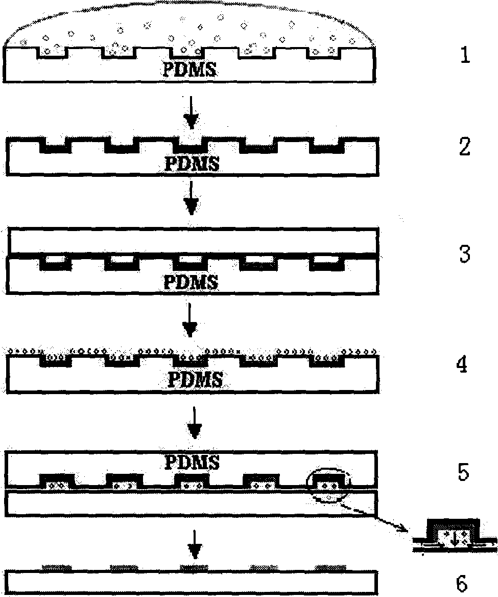 Method for fixing biological macro molecule pattern on polymer active surface by micro transfer technology