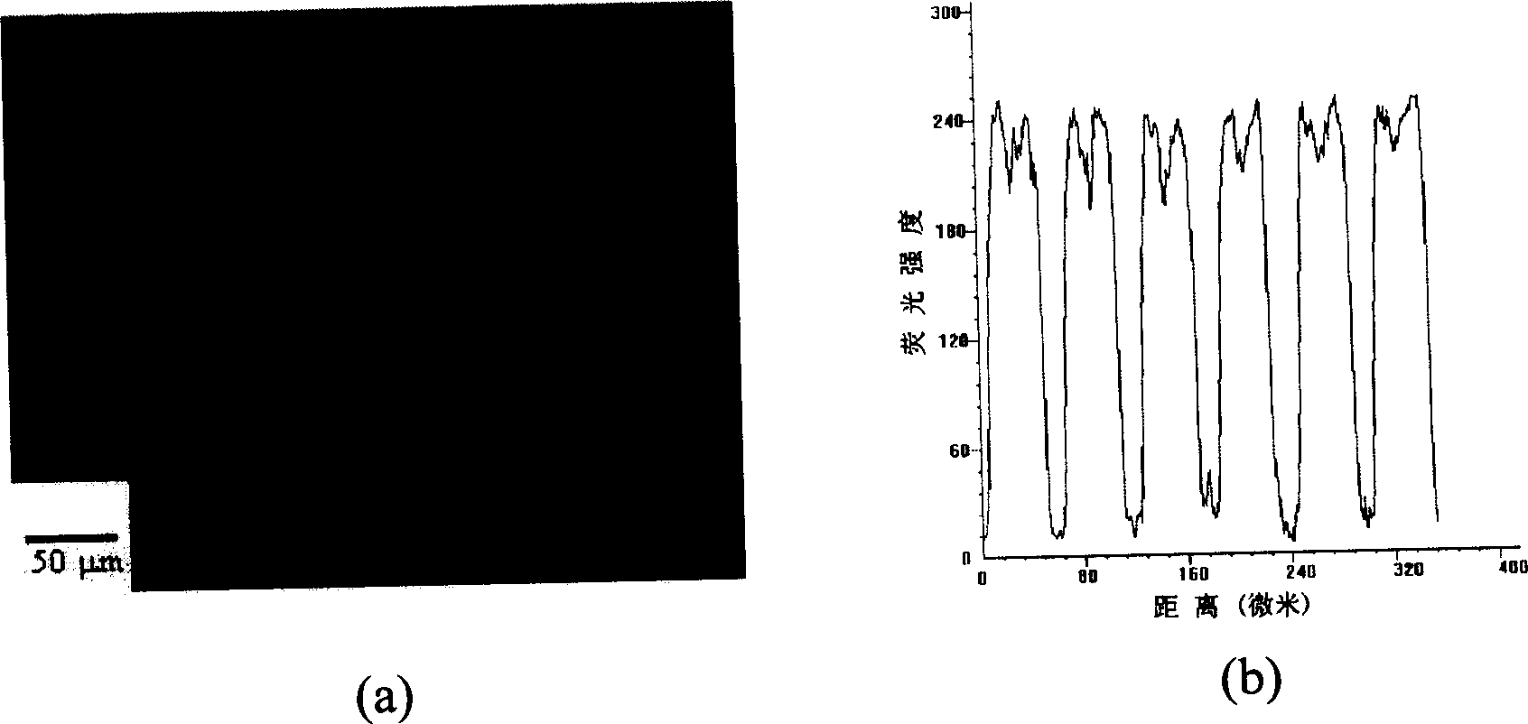 Method for fixing biological macro molecule pattern on polymer active surface by micro transfer technology