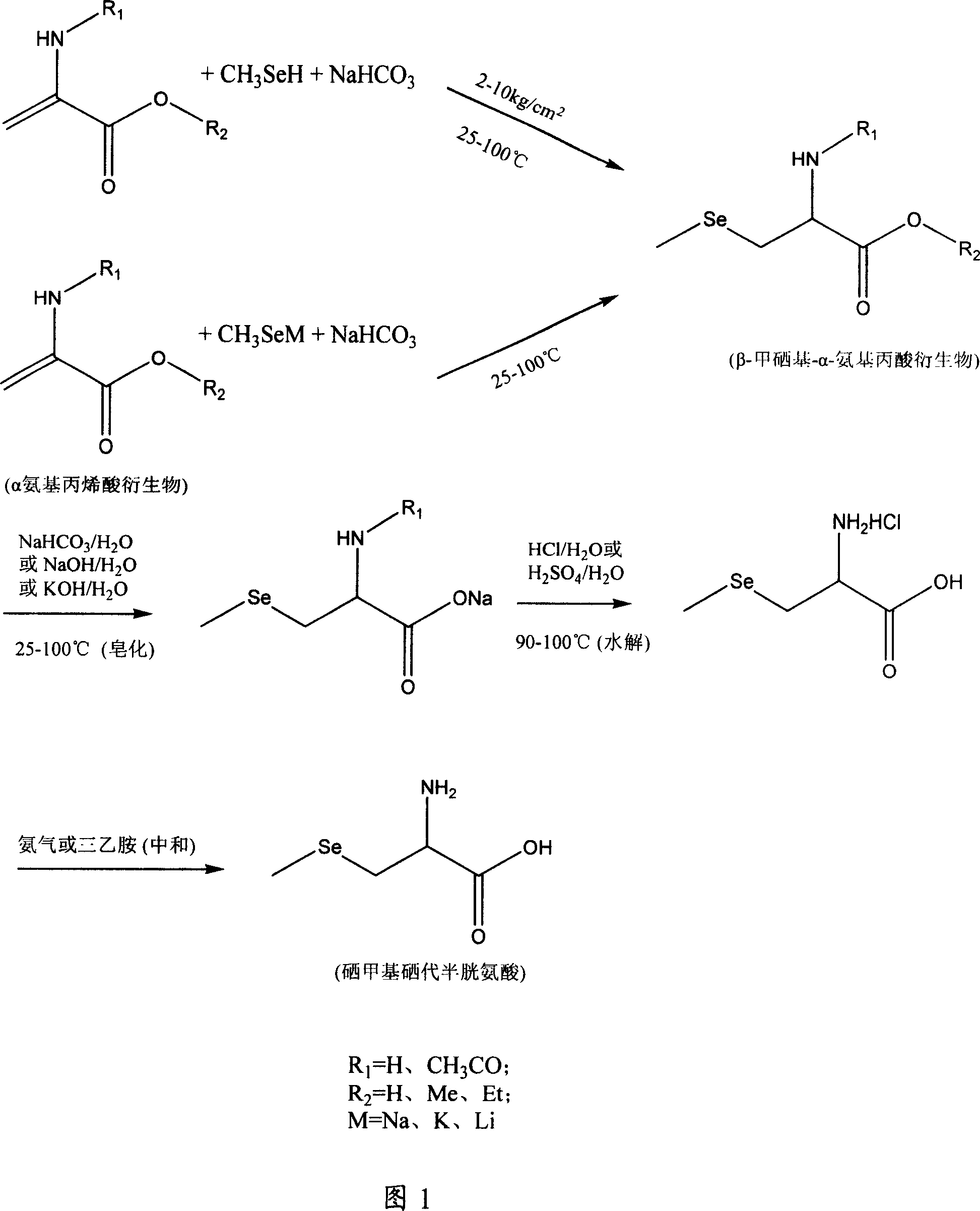 Method of preparing methylselenocysteine from alpha-amino acrylic acid derivative
