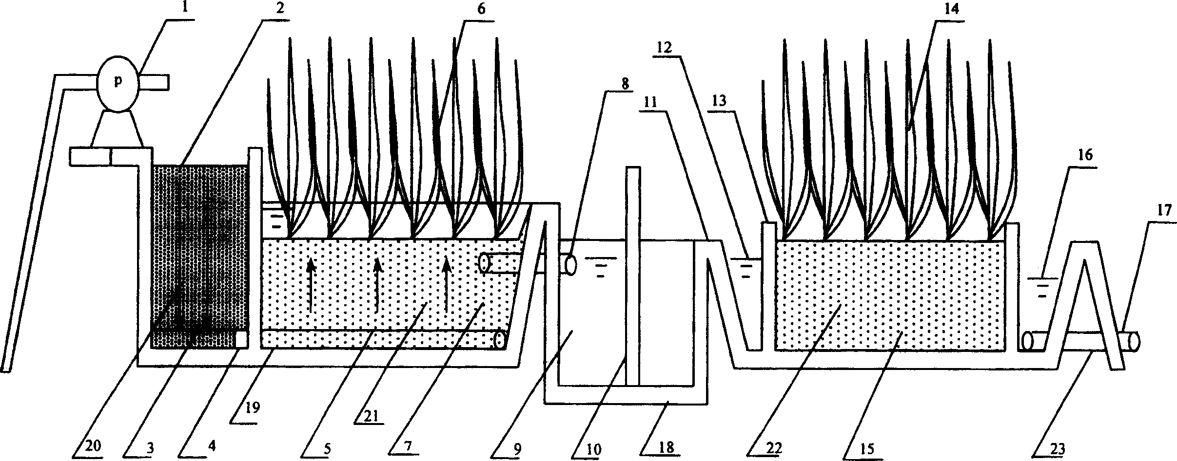 Efficient ecological waste water treating apparatus and method