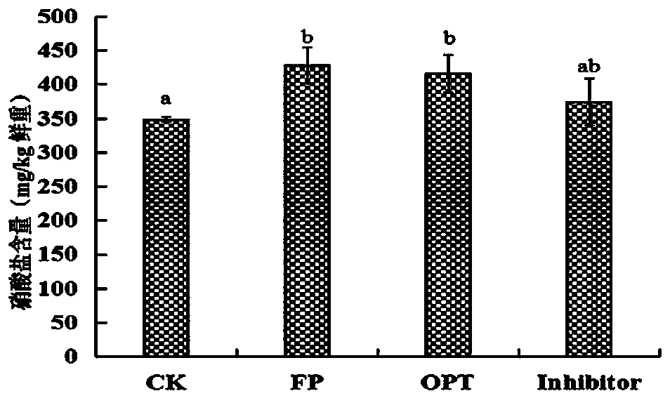 Nitration-inhibiting slow-release compound fertilizer for dual purposes of basal application and topdressing