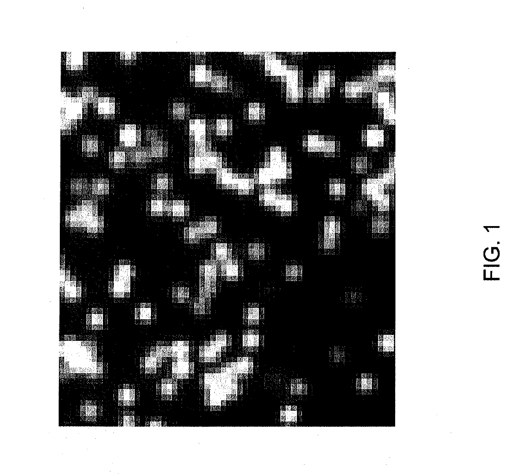 Method and apparatus for image processing for massive parallel DNA sequencing