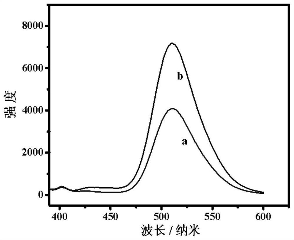 A kind of ammonia gas sensing film based on hpts and hydrotalcite nanosheets and preparation method thereof