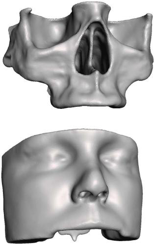 Anatomical silicone models and additive manufacturing thereof