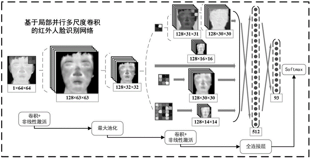 Infrared face identification method based on local parallel nerve network