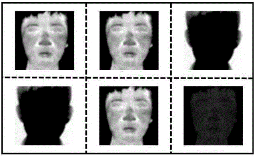 Infrared face identification method based on local parallel nerve network