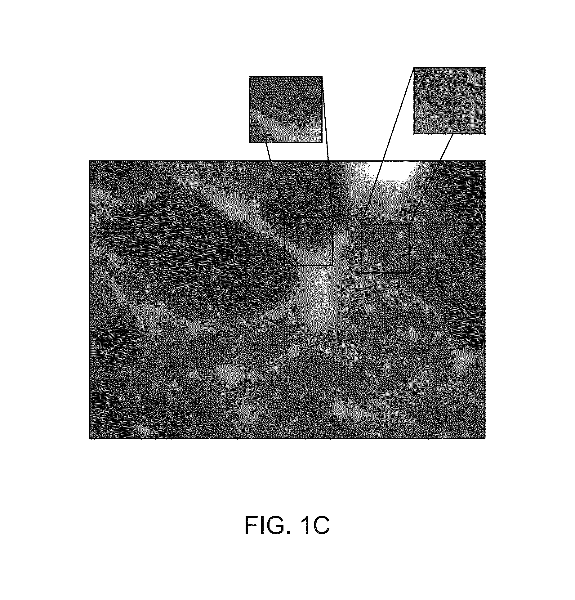 Compositions and methods for the removal of biofilms