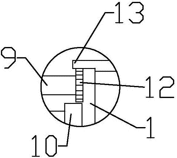 Vegetable hydroponics apparatus