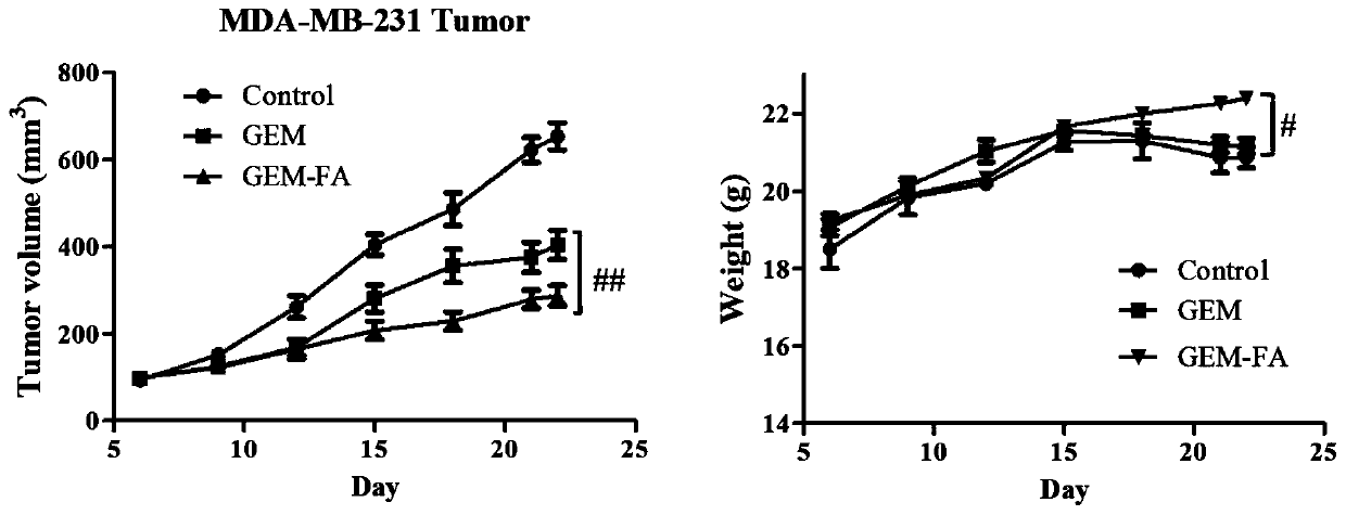 Prodrug with tumor targeting and preparation method and application of prodrug