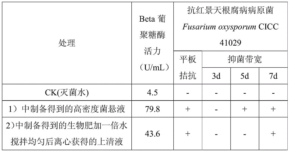 A kind of method of biological control anti-rhodiola root rot and growth promotion