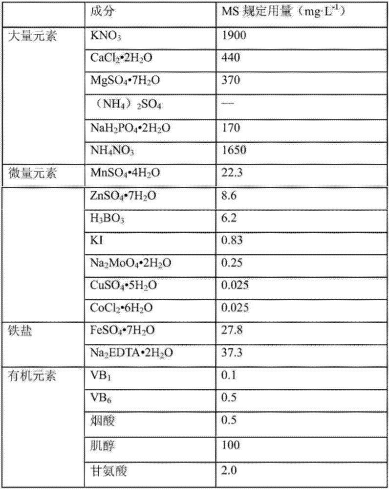 Liaofu variety big fruit sea-buckthorn shoot tip tissue medium formula