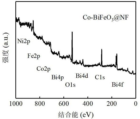 Preparation method of microwave-activated persulfate oxidative degradation catalyst for fluorine-containing wastewater