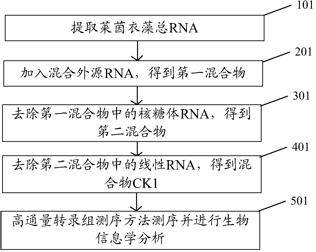Method for sequencing high-flux circular RNA (ribonucleic acid)