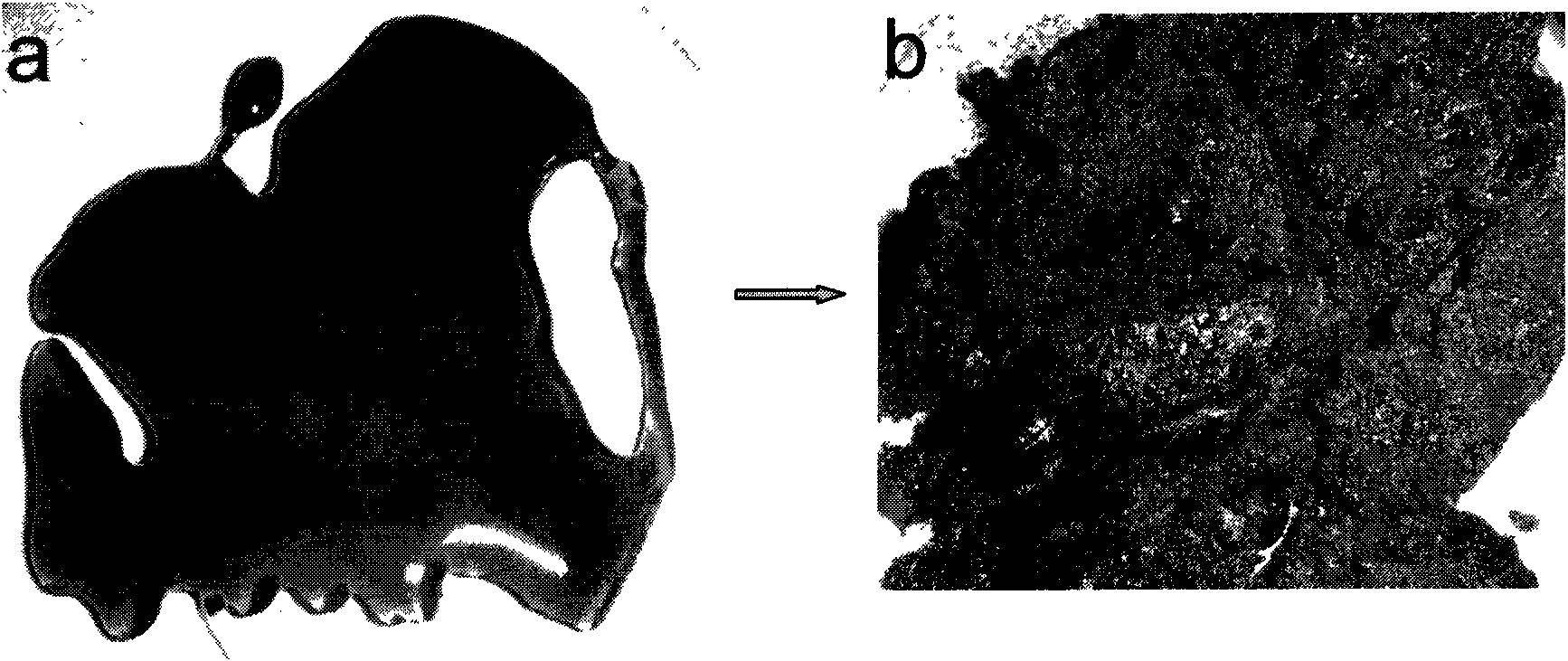 Soft chemical method for synthesizing soft magnetic ferrite