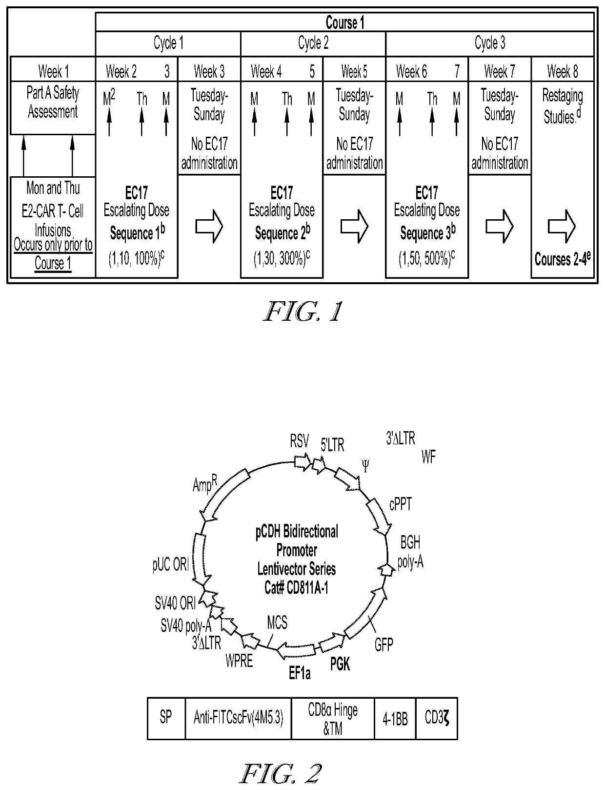 Sequencing method for car t cell therapy