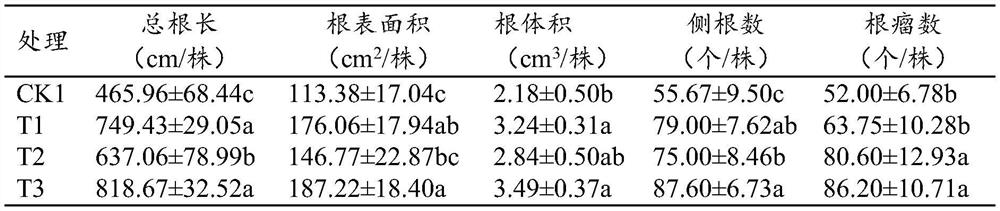 Seed dressing agent for promoting premature germination of peanuts and preparation method of seed dressing agent
