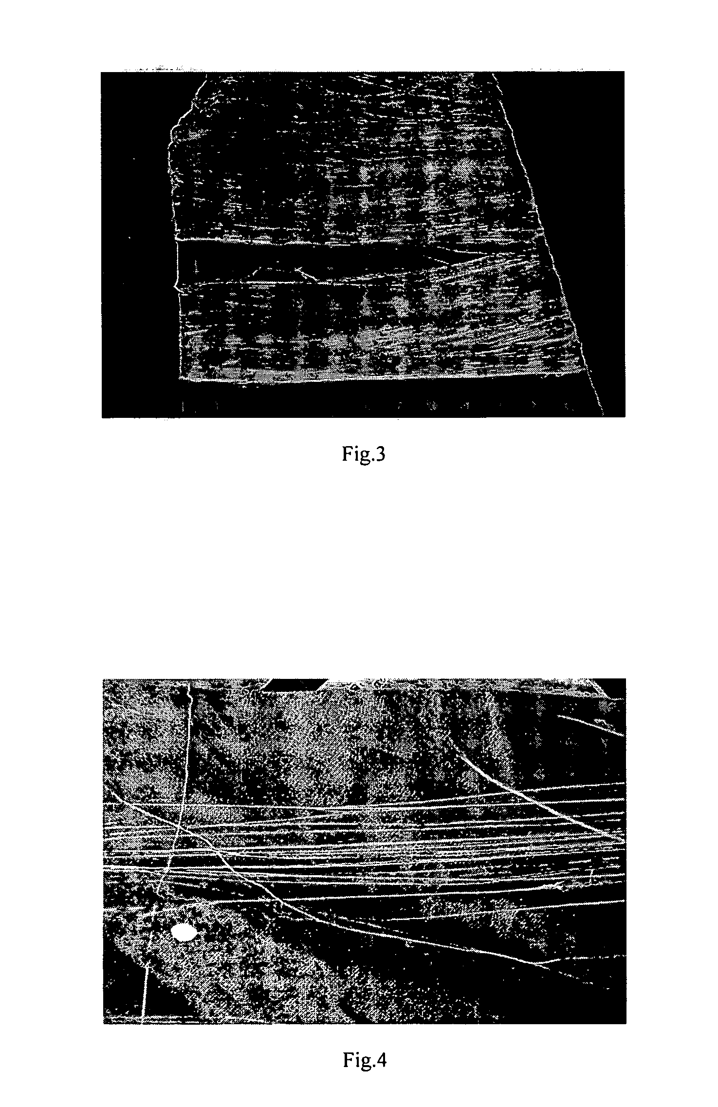 Device and Method for Preparing Filament Yarn of Composite Nanofibers