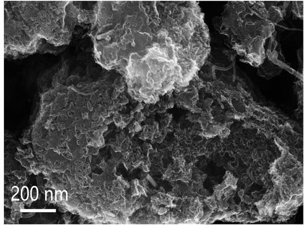 Preparation method of Fe/Fe3C nanoparticle-loaded porous nitrogen-doped carbon-based oxygen reduction catalyst