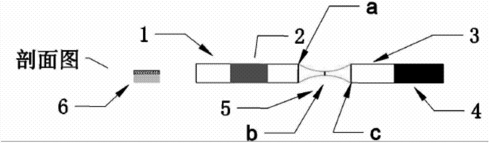 Lateral flow testing sheet and detection method thereof