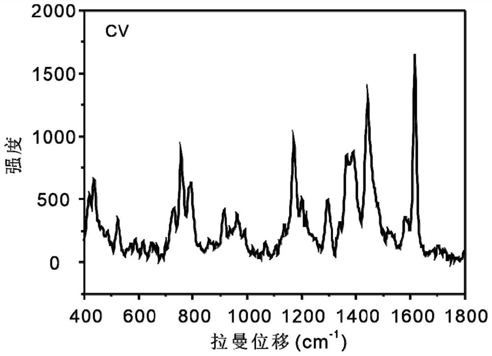 Preparation method of flexible composite SERS (Surface Enhanced Raman Scattering) substrate based on expanded graphite